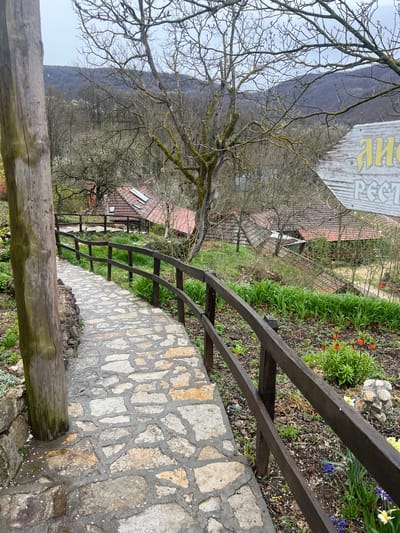 A downward-sloping, irregular flagstone path, flanked by dark brown wooden railings, descends through a terraced garden area. The path's immediate left edge features a thick, weathered wooden post with white petals scattered at its base. The garden on the right of the path contains emergent green foliage, orange fritillary flowers, blue grape hyacinths, and yellow daffodils or primroses, along with a small stone decorative element. Beyond the garden and railings, several buildings with traditional red-orange tiled roofs are visible further down the incline; at least two roofs feature skylight windows. The landscape is characterized by deciduous trees, many bare or lightly budding with moss and lichen, suggesting early spring. A weathered wooden sign with partially visible Cyrillic text in yellow ("ЛИC..." and "PECT...") is present on the right, partially obscured by tree branches. Distant hills, densely covered with trees, form the horizon under an overcast sky. The scene is located within the Despotovac Municipality, Serbia, presenting a rural or semi-rural environment. No individuals are present.