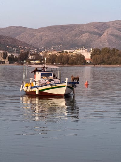 A boat rests on calm water with mountains in the background. The boat is painted white, blue, and green. It appears to be a fishing boat, with buoys hanging off the stern. An orange buoy floats near the bow. Reflections of the boat ripple on the water's surface. A small town lines the shore beneath the mountains, with buildings visible among trees. The sky is pale and clear.