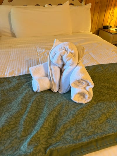 A white towel is folded into the shape of an elephant and placed on a bed. The bed has white sheets and is covered with a green patterned throw blanket. Two white pillows are visible behind the elephant. The background shows a wooden wall and a nightstand with a lamp and a clock. The location is a hotel room in Syria, United States.