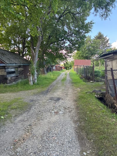 The image shows a dirt road in a rural setting, likely in the city of Gornye Kljuchi, Russia. The road is lined with grass and gravel on both sides, with several structures visible. On the left, there is an old wooden building with a corrugated metal roof and a small window. A large tree with green leaves stands beside it. Further down the road, more dilapidated wooden structures are present. On the right side of the road, there is a fence made of wire mesh and metal posts, behind which are some plants and another building with a red roof. The sky is clear with some light clouds. The overall impression is one of a somewhat neglected but inhabited rural area. There are no people or animals visible in the image.