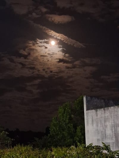 At night in Coimbra, Portugal, the moon is visible through a layer of clouds, with what appears to be contrails of an airplane visible in the upper left. A building and vegetation are on the right side of the frame.