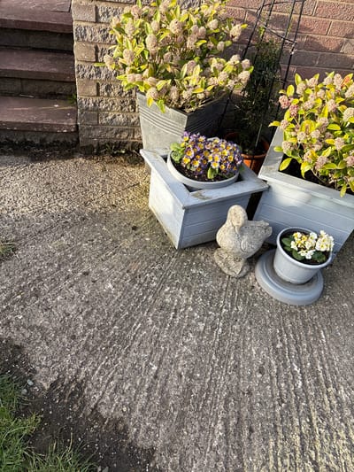The scene depicts an outdoor residential or garden area in Snailbeach, United Kingdom. The foreground consists of a textured, light grey concrete path, partially soiled with dirt and moss, with a strip of green grass visible on the far left. Direct sunlight illuminates the scene from the right, casting distinct shadows on the concrete and behind objects. No individuals or active interactions are present.
In the mid-ground, a collection of garden elements is arranged on the concrete. From left to right: a light grey wooden square planter box contains a plant with numerous purple and yellow flowers (likely pansies or primroses). Adjacent to this, a light grey, weathered stone figurine of a duck rests on the concrete, facing towards the right. To its right, another identical light grey wooden square planter box holds a plant with white and light yellow flowers (likely primroses), positioned on a grey circular base.
The background features a dark grey rectangular planter containing a leafy plant with clusters of small, pale pinkish-white buds or flowers. Behind this, another similar dark grey rectangular planter holds an identical plant. Centered between these planters is a terracotta pot containing a green climbing plant, supported by a black metal trellis. The background wall is composed of reddish-brown bricks, with a darker, rough-textured stone or brick foundation wall visible on the left, alongside three dark reddish-brown stone steps.