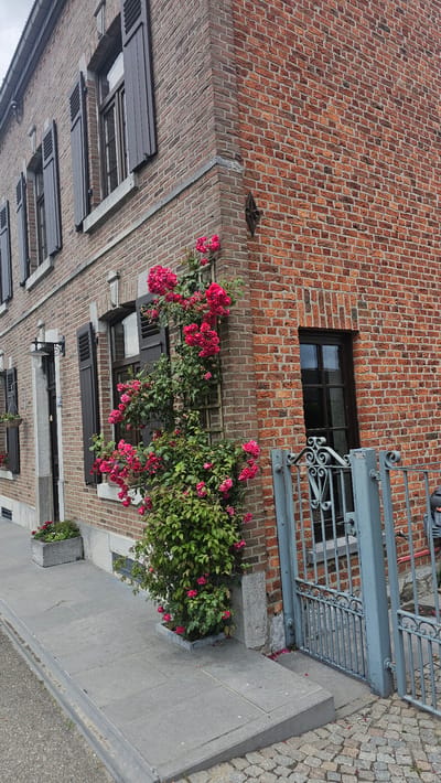 The image shows the exterior of a two-story brick building with dark-colored shutters on its windows. In the foreground, a paved walkway runs alongside the building, leading to a gray metal gate. A climbing rose bush with numerous pink blooms is trained on a trellis against the brick wall. The building is situated in the village of Boussu-lez-Walcourt, Belgium, a rural setting. The sky is overcast, indicating a cloudy day. No people are visible in the image.
