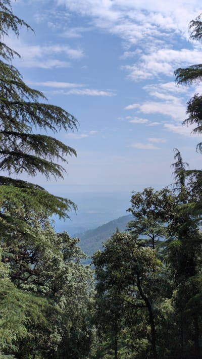 The image shows a view from Dharamkot, India, looking towards a mountain range under a blue sky with scattered clouds. The foreground is framed by tree branches on both sides, with pine trees on the left and mixed trees on the right. The mountain range in the distance appears hazy.
