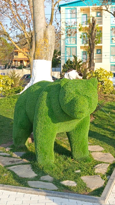 The image depicts a grassy sculpture of a bear in Shirokaya Balka, Russia. The sculpture is bright green and made to look like grass. It stands on a stone-paved area. A black and white cat sits on the bear's head. Behind the sculpture is a tree with a white painted base and a multi-story building. Other vegetation and parts of a building and a car are visible in the background. The overall lighting suggests it is daytime.