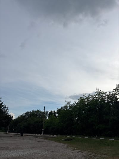 The image displays an outdoor scene dominated by a vast, cloudy sky. The sky is largely overcast with shades of gray, indicating heavy cloud cover, though patches of brighter, lighter blue sky are visible towards the upper right, where faint linear contrails from aircraft can be seen. This suggests a daytime setting, possibly late morning or afternoon, under dull or pre-stormy weather conditions.

Along the right side of the frame and extending across the bottom, a dense line of dark green trees with thick foliage forms a natural boundary. Adjacent to the trees, a gravel or dirt path or road occupies the foreground and extends along the right edge. The ground surface appears dry with small stones and some visible cracks.

Several man-made structures are present within the scene. A tall, wooden utility pole stands prominently on the right, rising into the sky with power lines extending from it. A shorter, similar pole is partially visible further down and to the left of the main pole. Running along the edge between the gravel path and the tree line is a distinctive barrier or fence, characterized by a series of short, light-colored posts alternating with darker segments, creating a striped appearance. A dark, cylindrical object, possibly a rubbish bin, is positioned near the center of this barrier. In the far distance within the cloudy sky, a few very small and indistinct specks can be observed.

The scene appears quiet and devoid of people or activity, conveying a sense of solitude. The combination of dense vegetation and utility infrastructure suggests a rural or semi-rural location, consistent with the context of Morava, Bulgaria. No visible text is present in the image.