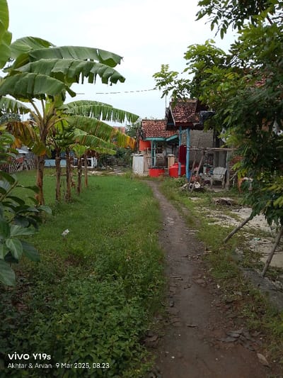 The image shows a dirt path leading past several residential buildings in Anjatan, Indonesia, located at latitude: -6.416, longitude: 107.969.  The path is flanked on the left by a row of banana trees and lush green foliage.  On the right are the sides of multiple buildings with a partially obscured red, and a blue and white building in the background. There are signs of the building having been used as the  clothesline is full of hanging garments. The path appears to be worn and uneven, with patches of grass and debris scattered along its surface. There are no people present.