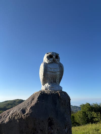 The image depicts a close-up, horizontally oriented shot of a stone owl statue perched atop a rocky outcrop. The statue is a light gray color and shows intricate detailing, particularly in its large, circular eyes and textured body, resembling feathers. The owl faces to the left of the frame.
The setting appears to be an outdoor environment, likely a mountainside or elevated viewpoint. Behind the statue, the background transitions from the rough texture of the rock to a clear, bright blue sky that fills the majority of the left side of the image. Towards the right side of the frame, the sky thins out and a distant landscape of rolling hills or mountains becomes visible, covered in lush green vegetation and trees. A patch of vibrant green grass can also be seen on the far right, suggesting a natural, possibly rural, location.
The lighting indicates that it is daytime, with the sun casting a bright glow, particularly on the right side of the rock and statue, creating subtle shadows. The clear sky suggests fair weather. There is no visible text in the image. The overall mood is serene and highlights the artistic statue within its natural environment. The orientation of the image might suggest it was taken from a lower angle looking upwards, or that the camera was tilted.
