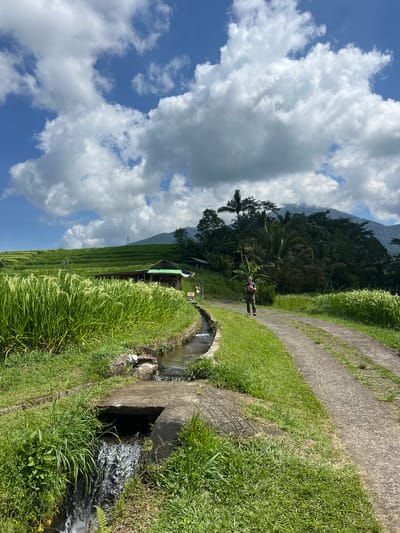 The image depicts a verdant scene in Penebel, Indonesia, characterized by rice terraces and lush vegetation. A concrete path runs alongside a water channel, with a concrete culvert conveying water. A person wearing a backpack and light-colored hat stands on the path. A small building is visible amidst the rice terraces. The sky above is partly cloudy. The environment is dominated by greenery, including tall grasses and tropical trees.