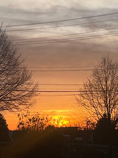 Captured in what appears to be the City of Newburgh, United States of America, is a vivid sunset. Silhouetted trees, their bare branches tracing intricate patterns against the sky, frame the composition. Running parallel to the branches on the left side of the image are utility wires. The sunset itself is a blend of orange and yellow hues, creating a bright horizon. The location is difficult to pinpoint exactly without additional contextual information. The interplay of natural elements and urban infrastructure is apparent in the scene.