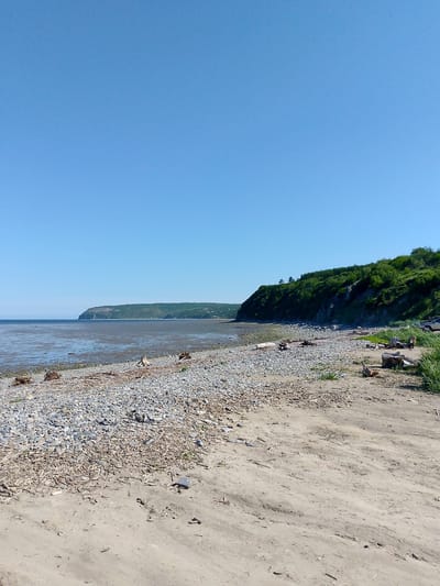 The image depicts a coastal scene on a clear, sunny day. A wide, shallow body of water, likely the sea at low tide, stretches across the middle ground, revealing a muddy, reflective surface. The foreground is a beach composed of sand and a significant amount of pebbles and small stones. Scattered across the pebble-strewn area are numerous pieces of driftwood and larger logs.
To the right of the frame, a grassy embankment rises, densely covered with green trees and vegetation, forming a lush hillside. A faint dirt track or road is visible at the top of the embankment, and a car is parked there. In the distance, a long, rounded hill covered in vegetation forms the horizon line. The sky is a uniform, clear blue.
The image appears to be a natural landscape, possibly a remote or undeveloped coastline. There are no immediate indications that this location is within the city of Magadan, Russia, based solely on the visual information provided. The scene is devoid of any explicit signs or structures that would confirm its specific geographical location. The overall impression is one of a serene, natural environment.