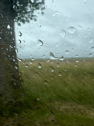 The image depicts a view through a window with raindrops on it, looking out onto a landscape. A dark, textured object, possibly a tree trunk, is visible on the left side of the frame, partially obscuring the view. The background shows a field of green grass with a muted, overcast sky. The overall impression is one of a rainy day in a rural setting. The prompt requests a description of the location in Vytuliai, Lithuania, but there are no specific visual cues in the image to confirm this location.