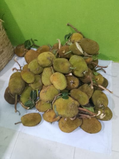 A pile of ripe jackfruits, some with small green leaves attached, rests on a white surface in front of a bright green wall. The jackfruits are oval-shaped with a rough, spiky rind and range in color from light green to yellowish-brown. Some appear to have been cut open, revealing white flesh. The scene is indoors, as indicated by the smooth, tiled floor and the plain green wall, which suggests a residential or marketplace setting. A woven basket can be seen to the left of the frame, partially obscured. The lighting is diffused, creating soft shadows. The image appears to have been taken at a low angle, focusing on the jackfruits.