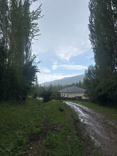 The image captures a view of a rural setting in Kashka-Suu, Kyrgyzstan. In the foreground, a muddy dirt road winds its way uphill, reflecting the overcast sky. To the left, a grassy slope is dotted with green foliage and several deer grazing. Tall, slender trees line the edges of the scene, framing a light-colored house with a dark roof situated further up the road. In the background, a range of hazy mountains stretches across the horizon under a cloudy sky. The overall atmosphere is serene and natural, with a hint of an approaching storm suggested by the subdued lighting.