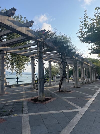 The image depicts a concrete pergola along the **Paseo de Pereda** waterfront promenade in **Santander, Spain**, overlooking the Bay of Santander. The pergola consists of a series of cylindrical concrete columns supporting a lattice of concrete beams overhead. Each column features decorative, geometric bands, likely mosaic or painted, at two distinct heights. Dark, woody vines are tightly wrapped around most columns and extend along the overhead beams, some bearing sparse green foliage and at least one visible pink rose bloom near the top center.
The ground beneath the pergola is paved with dark grey square tiles, interspersed with lighter grey rectangular and linear strips that form a geometric pattern across the walkway. The base of each column is surrounded by a square of reddish-brown brick pavers, containing dark soil where the vines are planted. Long, distinct diagonal shadows are cast across the pavement from the pergola structure, indicative of morning or late afternoon sunlight.
To the left, a black metal railing with decorative scrollwork separates the promenade from the calm, blue-grey waters of Santander Bay. A single white sailboat is visible in the distance on the water, with vegetated hills forming the backdrop across the bay. To the right and in the background, mature trees with green foliage are visible. The sky is clear blue with scattered white clouds. No prominent human subjects are discernible in the scene.