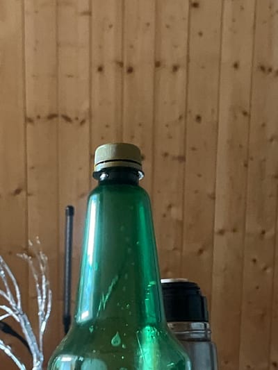 A green plastic bottle with a beige cap is in the foreground, partially obscuring a silver and black thermos bottle to its right. The bottles are placed in front of a light brown wooden wall. To the left of the green bottle, a dark, slender object, possibly a rod or a thin decorative item, is visible. The scene is indoors, with no indication of a specific location in Vasilyevo, Russia.