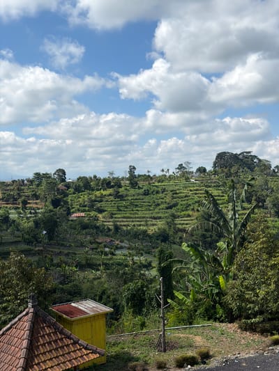 The image captures a scenic view of terraced rice paddies and lush green vegetation on a hillside, indicative of the rural landscape surrounding Baturiti, Indonesia. The sky above is a vibrant blue, dotted with fluffy white cumulus clouds. In the foreground, a traditional tiled roof structure with a partial red and white corrugated metal roof is visible on the left, adjacent to a small, bright yellow shed with a similar metal roof. The terraced fields, characteristic of the region's agricultural practices, extend across the middle ground, interspersed with trees and some scattered dwellings with red-tiled roofs. A large banana tree with broad leaves stands prominently in the right-middle ground. The scene suggests a tranquil, rural environment with active agriculture and a moderate presence of human habitation.