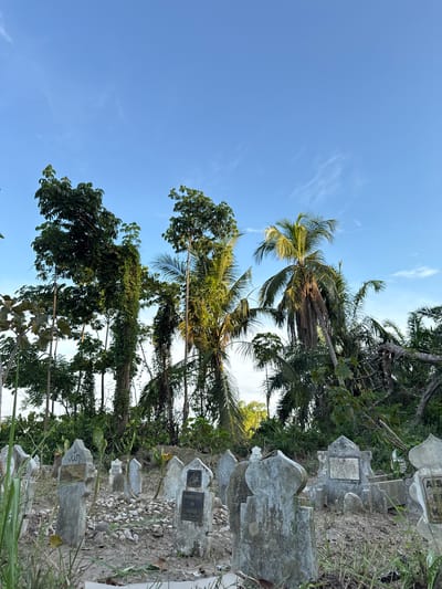 This image depicts a cemetery in Uleereuleung, Indonesia. The scene features rows of weathered headstones interspersed with tropical vegetation, including palm trees. The sky is blue with sparse clouds. There are no people visible in the frame.