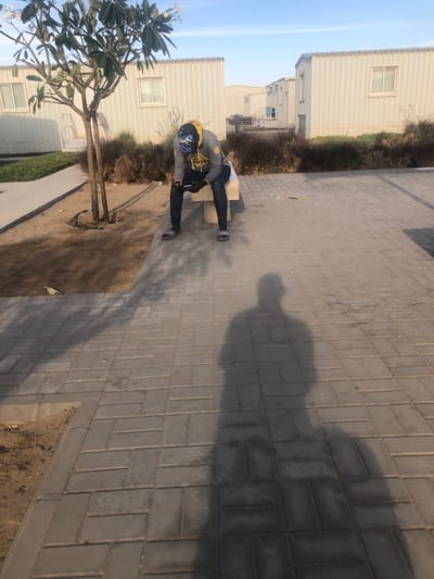 The scene is an outdoor daytime environment in النعيلة, Saudi Arabia. A male individual is seated centrally on a light-colored, rectangular concrete bench. He is wearing a grey long-sleeved hooded top with a graphic, blue jeans, and grey slide sandals. A blue patterned baseball cap is worn reversed on his head. His head is bowed, and he is actively engaged with a black smartphone held in both hands.
To the left of the bench, a small tree with light green leaves and white blossoms stands in a circular patch of bare earth, where a black irrigation hose is visible at its base. The ground in the immediate foreground and extending around the bench is paved with grey rectangular interlocking pavers laid in a herringbone pattern. Beyond the tree and bench, a low strip of dry, brown shrubbery separates the paved area from a series of identical, modular buildings constructed from light-colored corrugated metal. These buildings feature small, rectangular windows and some have external stairs leading to their entrances. The sky overhead is clear and light blue. Strong sunlight illuminates the scene, casting a prominent, elongated shadow of the photographer in the foreground, extending from the bottom center towards the seated individual.