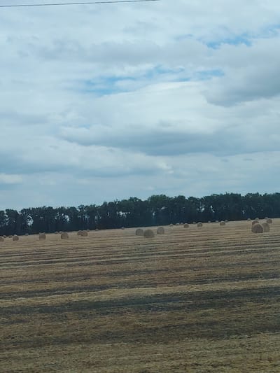 The image shows a field with hay bales and a line of trees in the background under a cloudy sky. The field is largely golden brown, with visible rows of cut stalks and round, tan hay bales scattered across it. The trees form a dark green line along the horizon. The sky is filled with a mix of white and gray clouds, with some patches of light blue visible. The scene appears to be a rural landscape. No people or specific city landmarks are visible, so it's not possible to determine the location in Tselina, Russia.