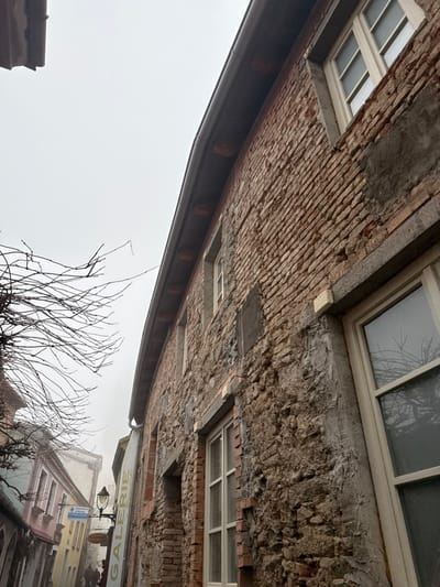 The image displays a narrow, ascending street in Znojmo, Czechia, under a uniformly overcast sky. The perspective is a low-angle upward shot, primarily featuring the right-side facade of a multi-story building. This building exhibits an aged and partially renovated appearance, with sections of exposed reddish-brown brickwork, areas of degraded plaster revealing stone, and patches of newer, rough grey cementitious material, some reinforced with mesh. Multiple rectangular windows with light-colored frames and multi-pane divisions are visible. A dark rain gutter runs along the eaves, beneath which wooden structural elements are exposed. On the left, the intricate, bare branches of a deciduous tree extend into the upper frame. Further down the street, which recedes into a visible atmospheric haze, other historical buildings with varied pastel-colored facades are present. A black, ornate street lamp with a glass globe illuminates the mid-ground. Signage includes a vertical banner reading "GALERIE" and a partially obscured blue sign, possibly indicating an "Informační Centrum Znojmo." Two indistinct human figures are observed walking away from the viewer in the distant, hazy street.