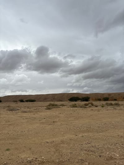 The image depicts an arid landscape in the Arava Tichona Regional Council, Israel, under a heavily overcast sky. The foreground consists of flat, light brown, rocky, and gravelly ground sparsely covered with dry, low-lying scrub vegetation. In the midground, approximately half a dozen dark green, mature trees, likely acacia, are scattered horizontally, interspersed with similar scrub. The background is dominated by a long, undulating, light brown to reddish-brown dirt hill or low mountain range stretching across the horizon, showing no visible vegetation. The sky above is entirely covered with dense, grey clouds, indicating overcast weather conditions. No people, animals, or man-made structures are visible.