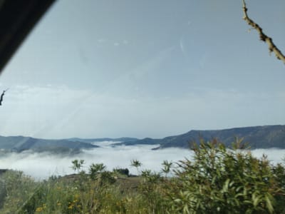 The image, apparently taken from inside a vehicle due to the presence of a window frame on the left and reflections on the glass, shows a scenic landscape. The foreground is dominated by vegetation, including grasses and flowering plants, with a larger shrub towards the right. In the middle ground, a valley is filled with a layer of fog or low clouds. Distant hills and mountains rise above the fog, creating a layered effect. The sky is overcast with a light, hazy quality. Given the prompt information that the location is in the city of São João da Pesqueira, Portugal, the landscape likely depicts a view of the Douro Valley, an area known for its mountainous terrain and frequent fog conditions, potentially seen through the perspective of a vehicle traveling along a road.
