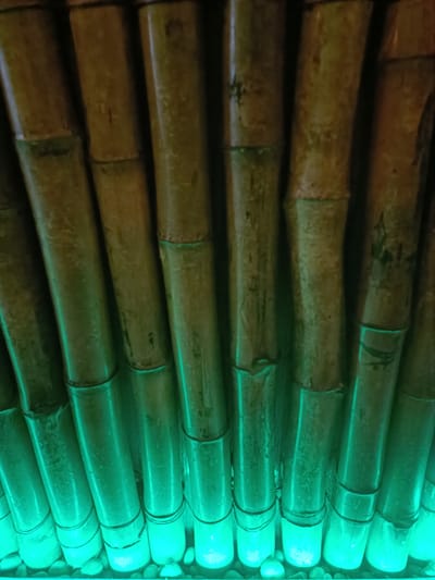 This media file shows a close-up, low-angle view of several bamboo stalks arranged vertically. The bamboo is light brown and shows distinct nodes. The lower portions of the stalks are illuminated with a bright green light, creating a glowing effect. Small, light-colored pebbles are visible at the base of the bamboo stalks, suggesting a decorative or landscaping context, possibly a garden or an interior design feature. The lighting and the arrangement of the bamboo create an atmospheric and possibly tranquil setting. There is no visible text or activity taking place in the image. The time of day and weather are not discernible. The location context of Kurnool, India, does not provide specific visual cues within the image itself.