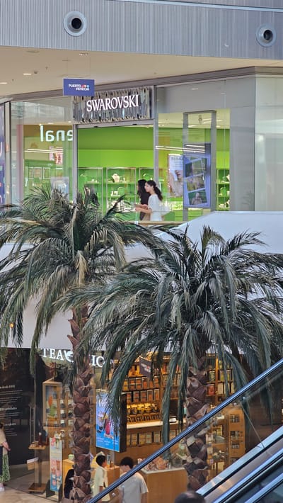 This image captures a scene within a shopping mall, likely in Zaragoza, Spain, as indicated by "PUERTO VENECIA" on signage. In the foreground, lush palm fronds obscure much of the view, suggesting an indoor setting with tropical-themed landscaping.

The focal point is a Swarovski store, its prominent illuminated sign clearly visible. In front of the store, a woman with dark hair, wearing a white dress, is reflected in the glass window, appearing to interact with the display inside. She is leaning forward, her posture suggesting engagement or curiosity.

Beyond the Swarovski store, other shop fronts are visible through the glass, including a store with many shelves stocked with products, potentially a bookstore or a specialty food shop, judging by the small, uniform boxes displayed. The lighting suggests it is daytime, possibly late afternoon given the indoor lighting and reflections.

A sign for "TEAS ICN" is also partially visible, indicating another establishment. The presence of an escalator on the right side of the image further confirms the mall environment. The overall atmosphere appears calm and commercial, with the lush greenery providing a touch of nature within the urban retail space. Text in the image includes brand names like Swarovski, Puerto Venecia, and the partial text "REBAJ" (likely "REBAJAS" meaning "sales") and other descriptive text related to product varieties and prices.