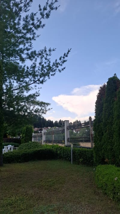 The image depicts an outdoor scene with a focus on vegetation and a clear sky. In the foreground, pine tree branches with green needles extend from the left and center, reaching towards the sky. The sky itself is a light blue, with a large, elongated cloud formation tinged with pink and white, suggesting it might be late afternoon or early evening.
Behind the trees, a manicured hedge forms a green barrier. Beyond the hedge, a metal fence with horizontal bars is visible, supported by concrete pillars. This fence appears to delineate a property or area. In the background, there are glimpses of structures that could be houses, partially obscured by more trees and greenery. A small patch of white chairs and a table are visible in the lower right portion of the image, suggesting an outdoor seating area.
The overall setting appears to be a garden or park-like environment. The lighting indicates a pleasant day, possibly with the sun setting or rising, given the color of the clouds. The scene conveys a sense of tranquility and natural beauty. No people are visible in the image, and there is no visible text. The location context provided is Razlog, Bulgaria.