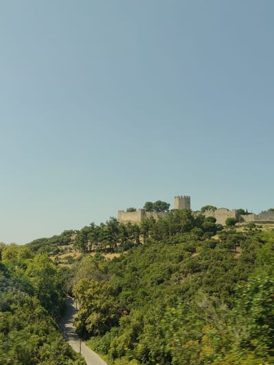 The image shows a scenic view of a castle on a hilltop overlooking a lush green landscape with a road winding through the trees. The sky is clear and blue. The castle appears to be made of stone and has multiple towers and walls. The surrounding vegetation is dense, with a variety of trees and bushes. A road can be seen in the lower part of the image, leading through the greenery. The overall impression is one of natural beauty and historical significance, consistent with the location of Neos Panteleimonas, Greece, known for its castle and natural surroundings.