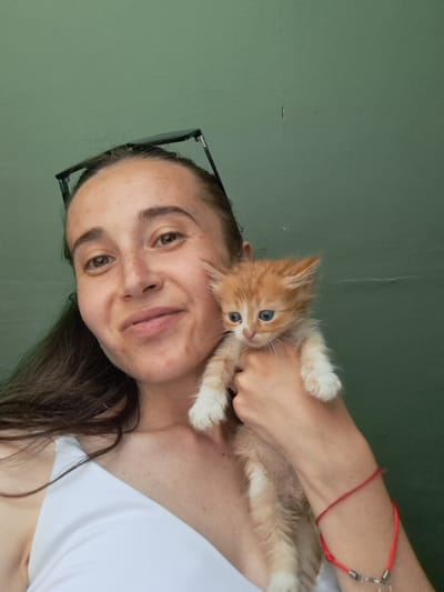 This media file is a portrait of a young woman holding an orange and white kitten. The woman has long, dark hair and is wearing a white tank top. She is smiling and looking at the camera. The kitten has blue eyes and is looking to the side. The background is a plain green wall. There is a pair of black-rimmed glasses on top of the woman's head. A thin red string bracelet with a small metal clasp is visible on the woman's left wrist. The image appears to be taken indoors, with natural lighting. The woman's expression suggests a feeling of warmth and affection towards the kitten. The orientation of the image is portrait mode, with the subjects positioned in the center. There is no visible text in the image.