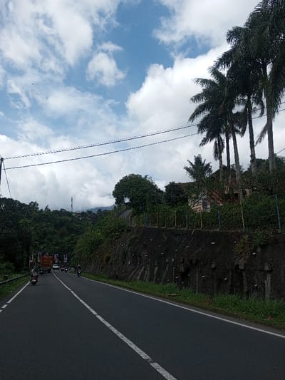 The image depicts a rural or semi-urban road scene in Gubbisamamidi, India, under a partly cloudy blue sky. A two-lane asphalt road, marked with a broken double white line in the center and a solid white line on the left shoulder, extends from the foreground into the distance, curving slightly left.
On the left lane, vehicles are traveling away from the viewer: a person on a dark scooter in the foreground, followed by a light-colored truck and several motorcycles/scooters further back. On the right lane, multiple motorcycles/scooters are visible, heading towards the viewer in the mid-ground.
To the left of the road, a steep, heavily vegetated hillside rises, with a cell tower visible on a distant peak. Some smaller structures are interspersed within the foliage. To the right of the road, a dark grey retaining wall or embankment, reinforced with visible white-capped bolts/nails, supports a lush green bank. Above this bank, a row of tall palm trees is prominent. Behind the trees and vegetation, a building with a reddish roof and light-colored walls is partially visible. A fence with yellow and green posts runs along the top of the embankment. Overhead, two black utility lines cross horizontally in the upper third of the frame. The overall environment suggests a hilly, green landscape.