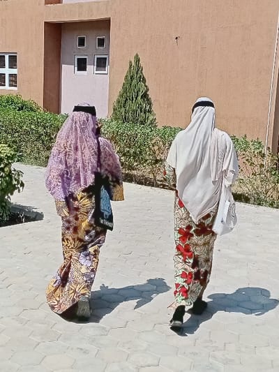 Two individuals walk away from the camera on a grey hexagonal paver walkway in the city of Kwazailewa, Nigeria. The person on the left wears a long, multi-colored patterned dress, a dark headpiece covered by a sheer purple patterned veil, and dark shoes, carrying a dark bag on their left side. The person on the right wears a light-colored draped head covering, a long skirt with a light background and red floral patterns, and dark shoes, carrying a white tote bag on their left arm. Distinct shadows are cast on the ground to their right, indicating bright sunlight from the upper left. The background features a line of green bushes and a slender coniferous tree. Behind the vegetation, a building with light brown walls is visible, displaying a white-framed multi-paned window on the left and a recessed section with four smaller square windows.