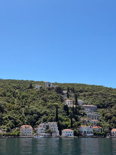 The image depicts a hillside with buildings along the edge of the water. The scene appears to be in Luštica, Montenegro, given the architecture and landscape. Dense vegetation covers the hillside, with interspersed houses and buildings. On the right side of the image, a body of water is visible, possibly a bay or inlet. The sky above is clear and blue. The image has been rotated counterclockwise.