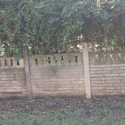 This image depicts a precast concrete wall in Tanga, Tanzania, partially obscured by dense green foliage. The wall consists of a lower section with a horizontal brick-patterned texture and an upper section featuring decorative, elongated, inverted-keyhole-shaped openings. Three vertical concrete posts support the wall panels. Above the wall and extending into its openings, a thick canopy of vibrant green leaves and branches is visible. A light-colored primate, likely a monkey, is positioned near the top of the wall, partially hidden by the foliage, appearing to traverse the leafy branches. The foreground presents a strip of ground covered with dark brown leaf litter, small stones, and sparse patches of green grass. The scene is illuminated by natural light, suggesting daytime conditions.