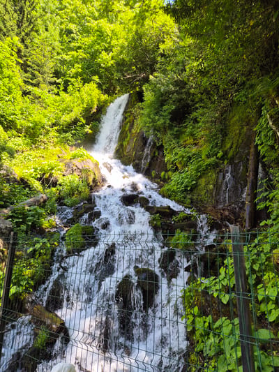 An image shows a waterfall cascading over rocks in a lush, green forest. Sunlight filters through the dense foliage, illuminating the spray from the waterfall. A green metal fence runs across the foreground of the image, partially obscuring the view of the waterfall and the surrounding vegetation. The scene suggests a natural, outdoor environment with the presence of a man-made barrier.