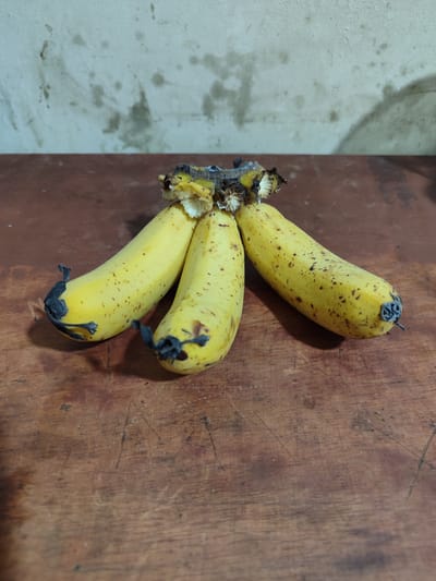 A bunch of four yellow bananas with brown spots are displayed on a weathered wooden table. The bananas are slightly curved and their stems are bunched together at the top. The background consists of a light-colored, textured wall with some smudges. The overall scene is indoors, with the lighting casting shadows on the table and wall. The location is specified as Lancokpanteara, Indonesia, suggesting an indoor setting within that region.