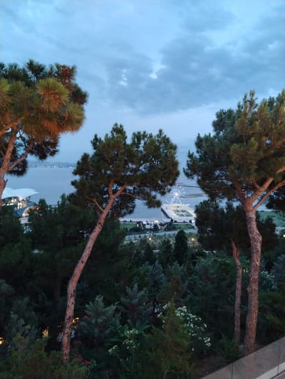 An elevated, wide shot captures a twilight view of the Caspian Sea coast in Sabail Raion, Azerbaijan. The foreground is dominated by the dense foliage of pine trees, with their rough, brown trunks and green needles casting shadows. In the mid-ground, a Ferris wheel, illuminated with white lights, stands prominently on the waterfront, alongside a modern, white-roofed building. The sea stretches to the horizon, where a city skyline is faintly visible. The sky above is a blend of deep blue and gray clouds, indicating the transition from day to night. The scene is serene and expansive, conveying a sense of a quiet urban evening.