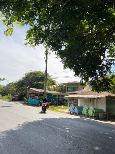 A vertical, wide shot captures a roadside scene in Bukitrata, Indonesia. A large tree with lush green leaves dominates the left side of the frame, its branches casting dappled shadows. The road, paved and gray, occupies the right side and foreground.

Along the roadside, a building with a corrugated metal roof stands partially visible. In front of this building, a row of stacked, pastel-colored plastic chairs is arranged under a covered area. Further down the road, a person is riding a scooter, with a red and yellow checkered container strapped to the back. The scooter is turning away from the camera and proceeding down the road. A small red vehicle is parked on the side of the road behind the scooter.

The scene appears to be set during the daytime, with bright sunlight illuminating the area and casting distinct shadows. The sky is a clear, pale blue with a few wispy clouds. Overhead, a network of power lines crisscrosses the frame, supported by a tall utility pole. In the background, more greenery and buildings are visible, suggesting a semi-urban or village setting. The overall mood is casual and everyday, depicting a typical moment on a rural Indonesian road. No visible text is present in the image.