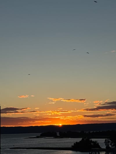 A vertical, wide-angle, landscape photograph captures a sunset over a body of water. The sun, a bright orange orb, is partially obscured by a silhouetted mountain range on the right side of the frame. The sky is a gradient of soft blues and grays at the top, transitioning to warm oranges and yellows near the horizon, painted by streaks of pink-tinged clouds. The water below reflects the vibrant colors of the sky, with the golden light creating shimmering patterns on its surface.

Several dark silhouettes of birds are visible in the sky. In the distance, on the right bank of the water, a dense line of trees and vegetation creates a dark silhouette against the bright sky. A man-made structure, possibly a pier or boardwalk, is partially visible extending into the water on the far right. The overall mood is serene and tranquil, evoking the peaceful end of a day. The time of day is clearly sunset, with the warm, low-angled light illuminating the clouds and water. There are no visible text elements in the image. The location context provided is Bolgar, Russia.