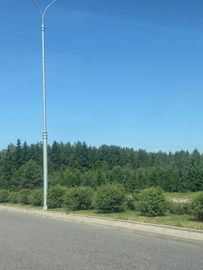 A full-shot, eye-level outdoor photograph captures a clear, bright blue sky dominating the upper half of the frame. A tall, slender, silver street lamp with a bifurcated top extends upwards on the left side of the image. Below the sky, a dense, dark green forest stretches horizontally across the middle ground. In the foreground, a paved asphalt road runs from the bottom left corner to the bottom right, separated by a concrete curb and a strip of green grass from the forest. A line of trimmed green bushes runs along the edge of the grass, in front of the forest. The scene is devoid of people and animals. The lighting suggests it is daytime, likely midday given the intensity of the sunlight. The environment appears to be rural or suburban, possibly on the outskirts of a city like Драчкаўскі сельскі Савет, Belarus, given the presence of a road and street lighting alongside a natural wooded area.