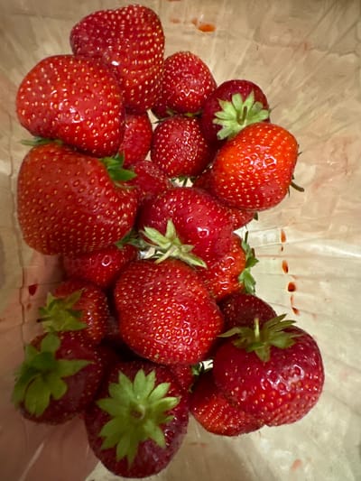 This is a close-up, overhead shot of a pile of fresh, red strawberries, likely in a transparent container or bag. The strawberries are the primary subjects, with their characteristic bumpy texture and bright red color being highly visible. Some of the strawberries still have their green leafy tops attached. The lighting appears to be artificial, creating a slightly glossy sheen on the fruit. There are no people, animals, or discernible background elements other than the translucent material surrounding the strawberries, which shows some reddish smudges, possibly from the fruit itself. The image is likely taken indoors, given the lighting conditions and lack of natural environmental cues. The focus is entirely on the strawberries, emphasizing their freshness and texture. There is no visible text in the image. The context of Chemerne, Ukraine, suggests this might be a scene of local produce or a personal collection of fruit.