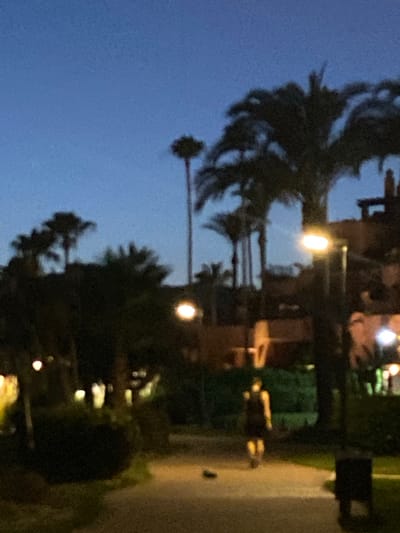 The image depicts a dimly lit pathway at dusk in Estepona, Spain. Palm trees and other vegetation are silhouetted against a deep blue twilight sky. Buildings, possibly hotels or apartments, are visible in the background with illuminated windows. A single person, appearing to be a woman wearing a dark dress, is walking away from the camera down the pathway. Several streetlights are on, casting a warm glow on the scene. The overall impression is one of a peaceful evening stroll in a tropical or subtropical urban setting.