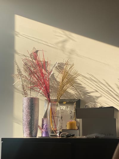 The image depicts an indoor scene, likely a shelf or table against a textured, cream-colored wall. The primary subjects are decorative floral arrangements and a clock. There are two bunches of artificial reeds, one shimmering gold and the other a vibrant red, placed in a clear glass vase. Beneath them, a metallic, cylindrical object with a textured surface, possibly a decorative container or tumbler, sits prominently.
Partially visible behind the floral arrangements is a square clock with Roman numerals and visible hands pointing to roughly 12:30. To the right of the clock, a small, pale yellow object, possibly a piece of soap or a decorative cube, is placed. A pair of eyeglasses with thin, metal frames is perched on top of a dark rectangular object, which appears to be a box or book. The background features a dark vertical surface on the far right, suggesting the edge of furniture.
The scene is illuminated by strong, directional sunlight casting sharp, elongated shadows of palm fronds across the wall and onto the objects. This creates a dramatic interplay of light and shadow, indicating a time of day when the sun is low, likely late afternoon. The overall mood is serene and contemplative, with the natural light adding a warm, atmospheric quality to the composition. No people are visible. No specific location cues are immediately apparent beyond what is described as a decorative indoor setting in Novi Petrivtsi, Ukraine. The text "Maison d'Ours" is faintly visible on the side of a grey box.