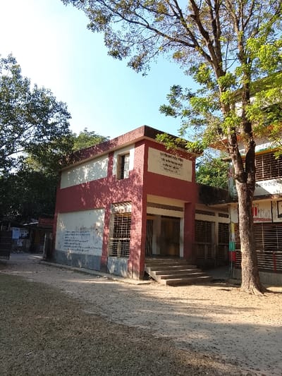 This image depicts Shimulia High School, located in Shibpur, Bangladesh. The main subject is a two-story building constructed with red brick banding and off-white painted walls, resting on a grey concrete foundation. A central entrance features multiple concrete steps leading up to double doors. Several windows on both the ground and upper floors are fitted with metal security grates. Bengali script identifying "শিমুলিয়া উচ্চ বিদ্যালয়" (Shimulia High School) is visible on the upper facade, with additional faded writing on a lower wall section. No individuals are present in the scene. The immediate foreground consists of an unpaved dirt path with sparse dry grass and scattered leaves, exhibiting distinct shadows from the bright sunlight. Large, mature trees with varying densities of green foliage frame the building against a clear blue sky. To the far left, a smaller, single-story structure with a metal gate and posters is partially visible. To the right, an adjacent section of a building with grates over windows and faded murals is observable behind a tree trunk.