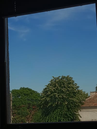 The image captures a view through a window of a clear blue sky with a few wispy clouds. In the lower half of the frame, green trees are visible, with one larger tree dominating the right side of the image. To the right of this tree, the terracotta tiled roof of a building can be seen. The overall scene appears to be outdoors, possibly a residential area. The text "you are" is faintly visible on the wall of the building.