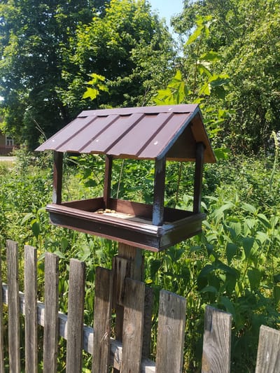 A weathered wooden bird feeder with a brown metal roof stands on a wooden post, positioned in front of a rustic wooden fence. The bird feeder contains a small amount of birdseed. Behind the fence and bird feeder, a dense green thicket of plants and trees forms the backdrop under a clear blue sky. The scene is likely a backyard or garden area in the city of Slonim, Belarus, suggesting a natural or semi-natural outdoor setting. There are no people visible in the image.