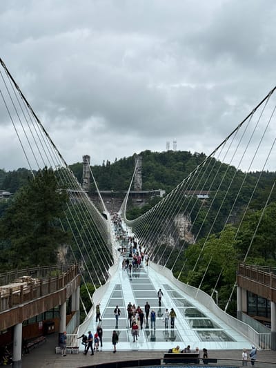 The image depicts a glass-bottomed bridge in Zhangjiajie, China, suspended between two forested hills. A dense crowd of people is crossing the bridge. The sky is overcast, creating a diffused light. The bridge structure is modern, with white architectural supports and steel cables extending to anchor points on the hillsides. Wooden platforms are visible at either end of the bridge, with some people standing near the edges. The surrounding environment is lush with trees and vegetation covering the hills.