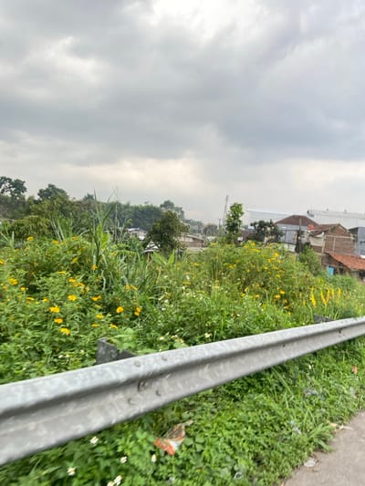 The image shows a patch of green grass and yellow flowers along a roadside in Margaasih, Indonesia (latitude: -6.964, longitude: 107.545). A metal guardrail separates the vegetation from a paved road. The background shows several buildings with red tile roofs, trees, and a cloudy sky. The image is likely taken from a moving vehicle, causing blur in the foreground.